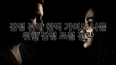 감정 관리 완벽 가이드: 나를 위한 감정 조절 전략