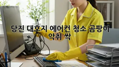 🌬️ 당진 대호지 에어컨 청소, 곰팡이 악취 싹!