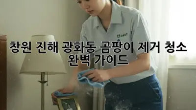 창원 진해 광화동 곰팡이 제거 청소 완벽 가이드