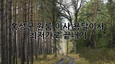 홍성군 원룸 이사, 용달이사 최저가로 끝내기!